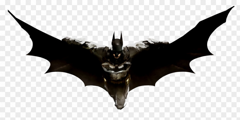 Batman: Arkham Knight City Asylum Origins PNG