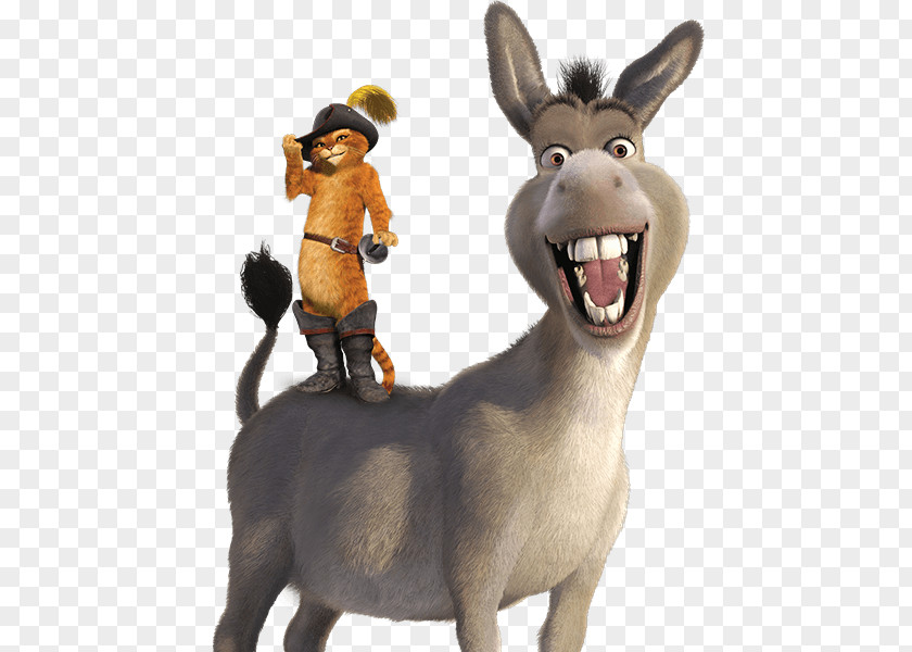 Donkeyhd Donkey Princess Fiona Shrek Film Series Animated PNG