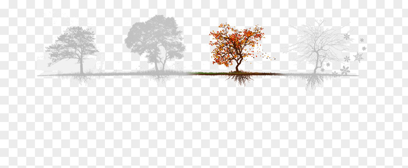 Fall Season Line Water Point Tree Silhouette PNG