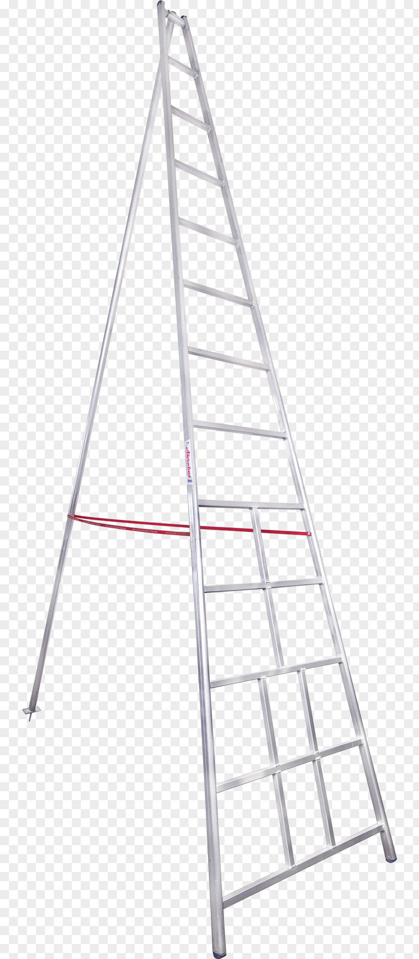 Ladder Stairs Foot Fruit Tree PNG