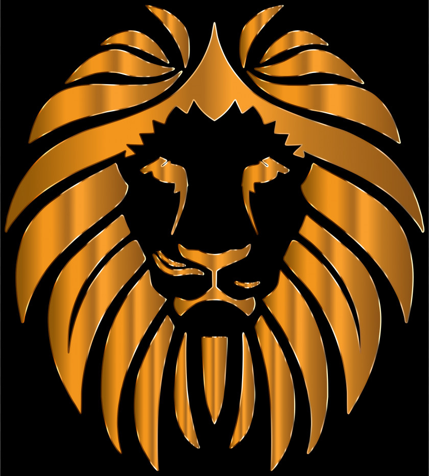 Lion Golden Felidae Venice Film Festival Clip Art PNG