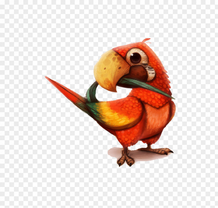 Parrot Drawing DeviantArt Painting PNG