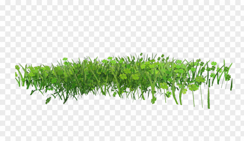 Pasture PNG