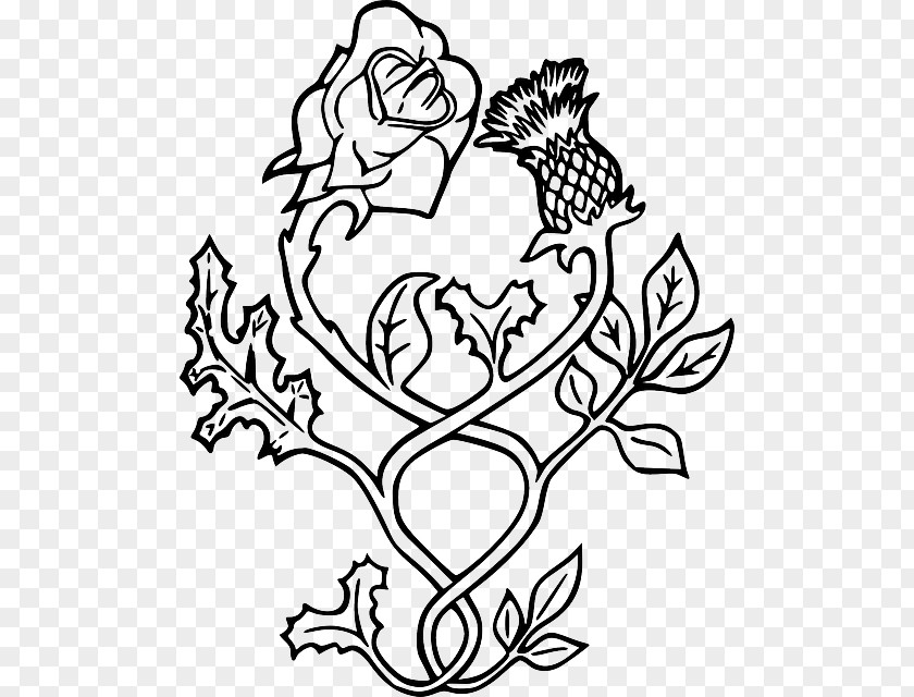 Rose Thistle Tattoo Scotland Drawing PNG