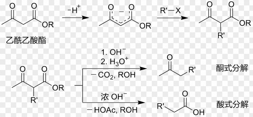 Acetoacetic Ester Synthesis Ethyl Acetoacetate Acid Acetate PNG