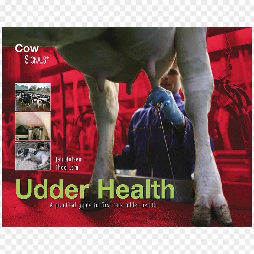 Cattle Calf Book Udder CowSignals Training Company PNG