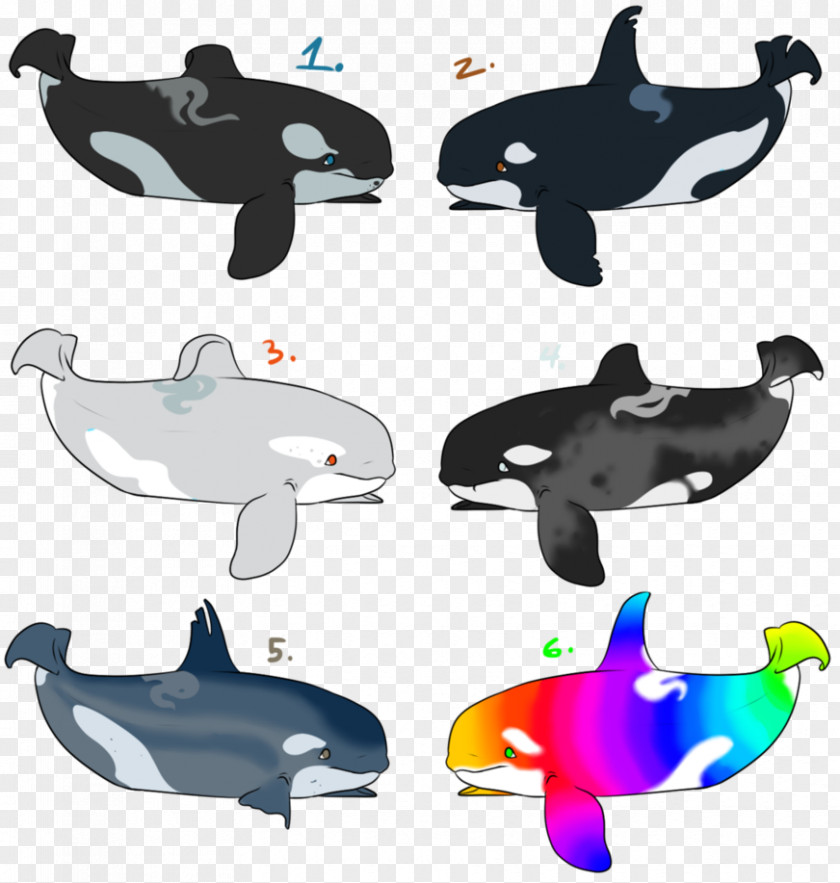 Dolphin Porpoise Cetacea Clip Art PNG