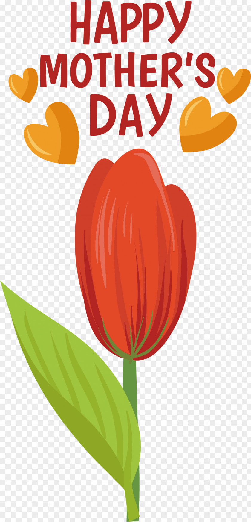 Plant Stem Cut Flowers M-095 Tulip Flower PNG