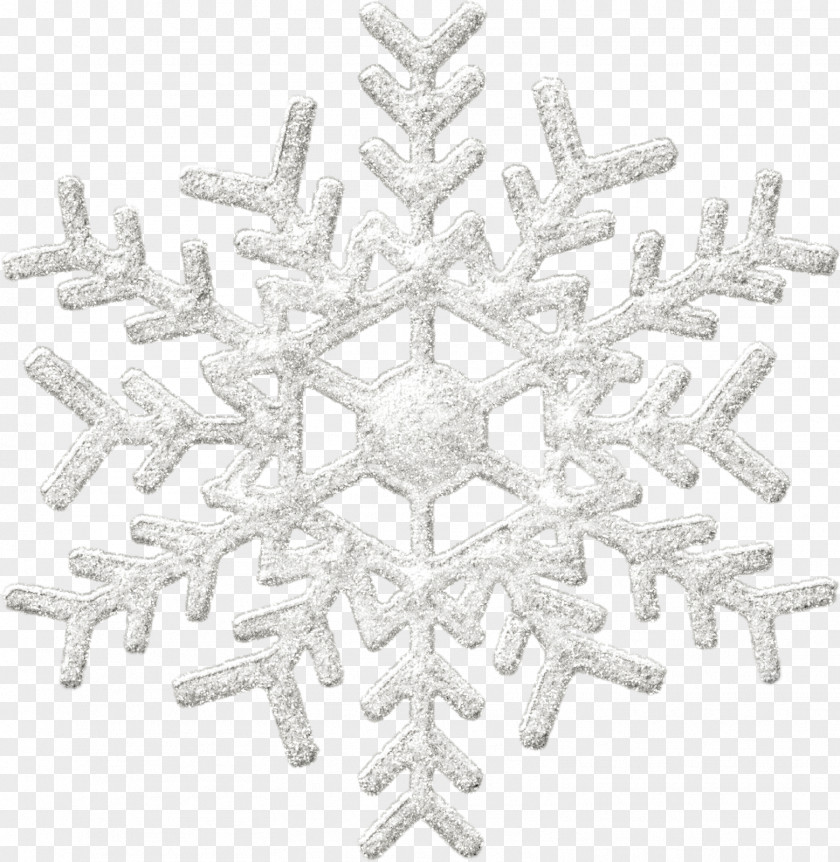 Snow Flakes Snowflake Winter Light PNG