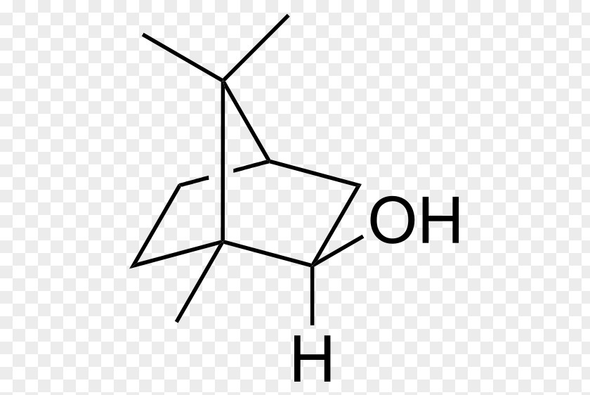 Borneo 2-Methylisoborneol Monoterpene 2-Heptanone Camphor PNG