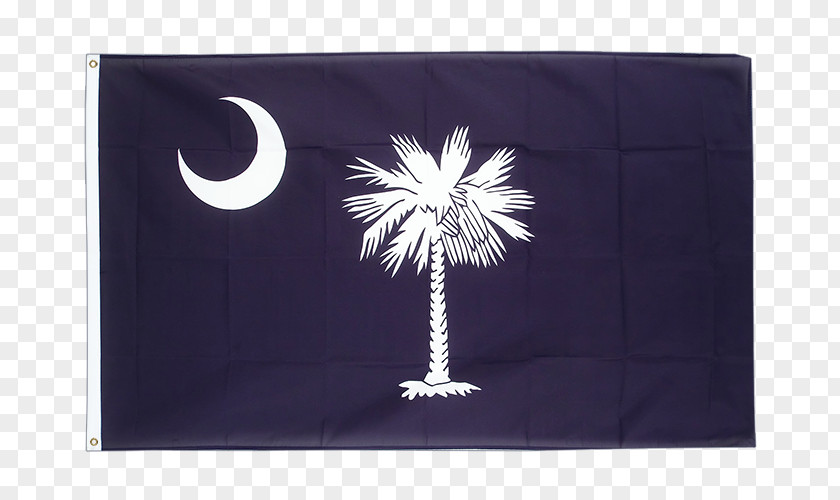 Caroline Du Sud Flag Of South Carolina North PNG