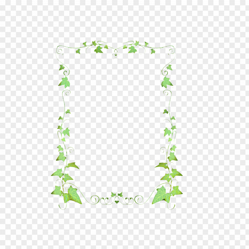 Ivy Family Flower Green Background Frame PNG