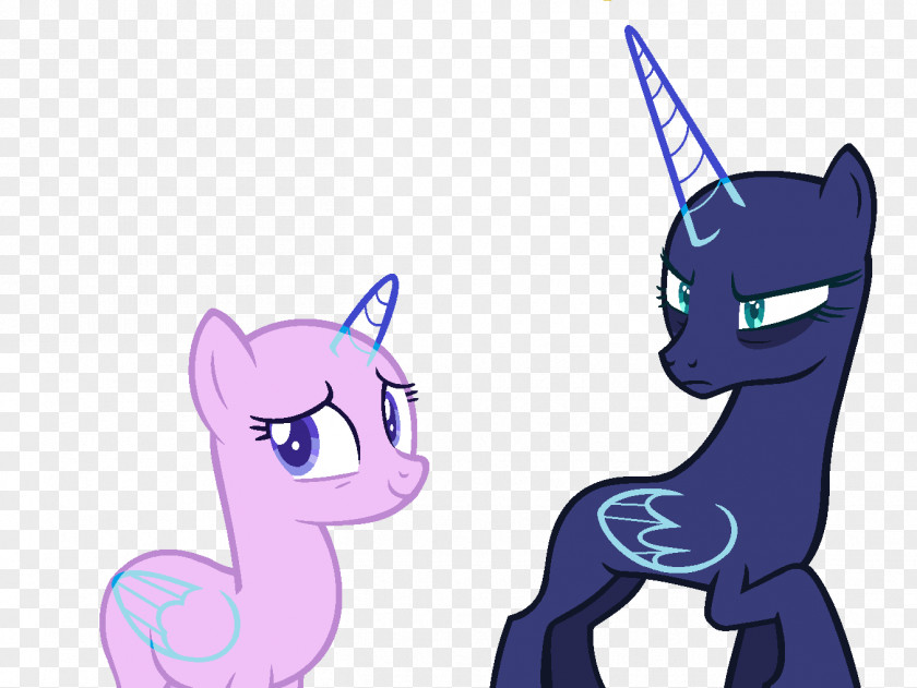Narwhal Princess Celestia Twilight Sparkle Luna Cadance Pony PNG
