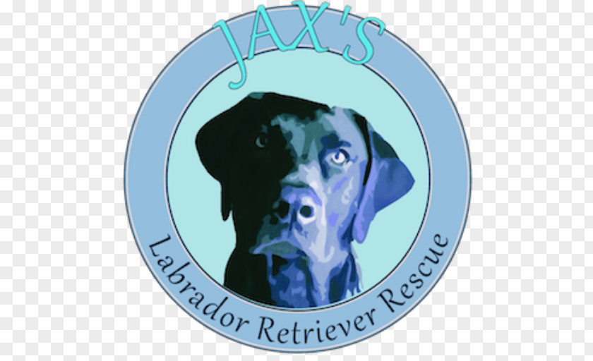 Puppy Jax's Labrador Retriever Rescue Dog Breed PNG
