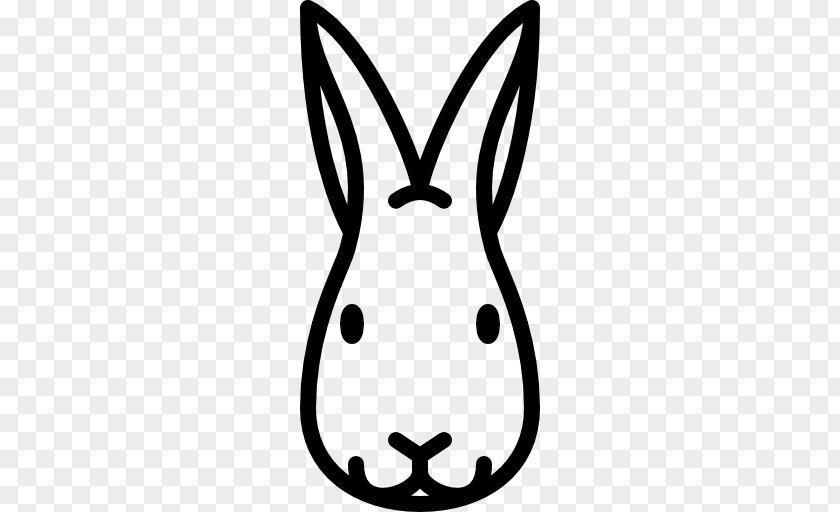 Rabbit PNG