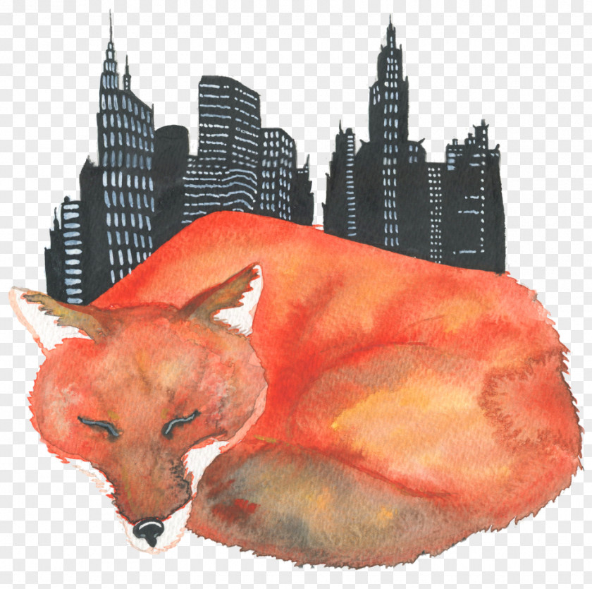 端午节 Red Fox Illustrator Whiskers Watercolor Painting PNG