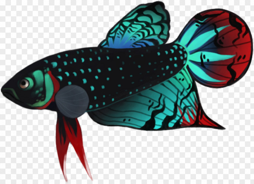 Seafood Parrotfish Butterfly PNG
