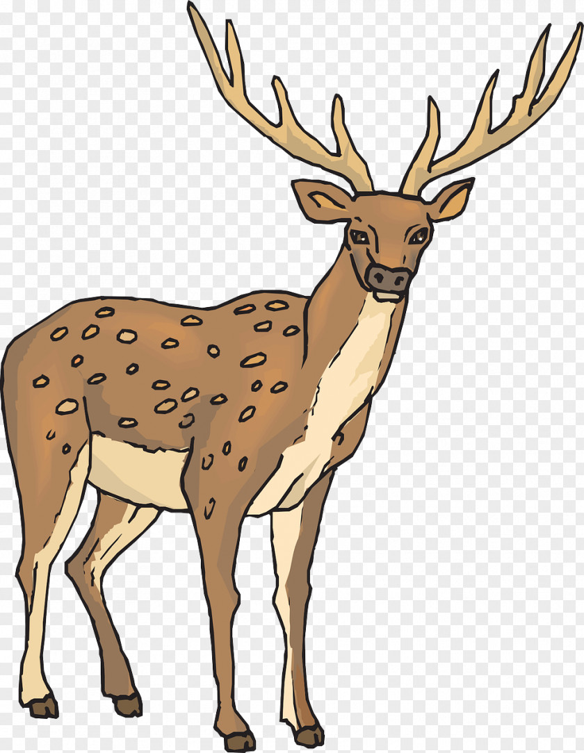 Strong Deer Reindeer Clip Art PNG