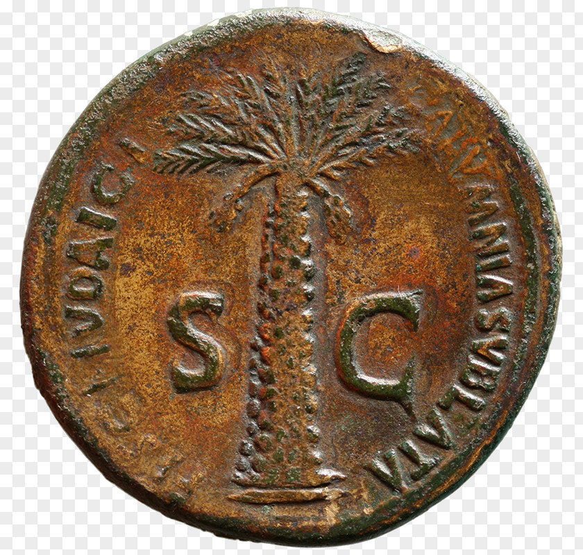 Coin Sestertius Copper Procurator Bronze PNG
