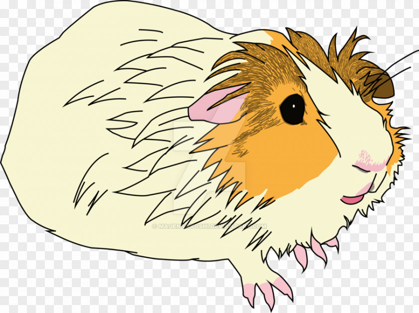Guinea Pig Rodent Mouse Rat Mammal PNG