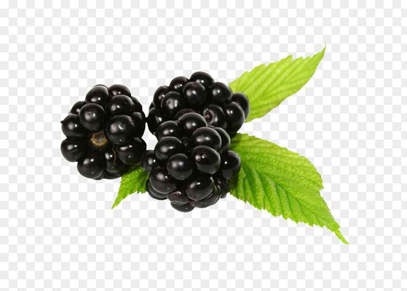 Raspberry Fruit Blueberry Auglis PNG