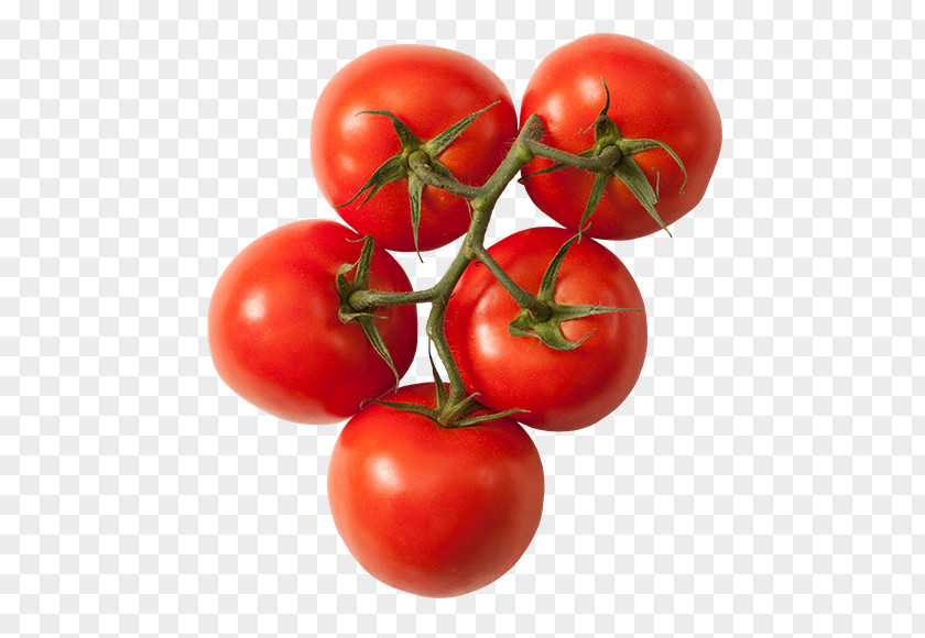 Vegetable Plum Tomato Bush Organic Food Roma PNG