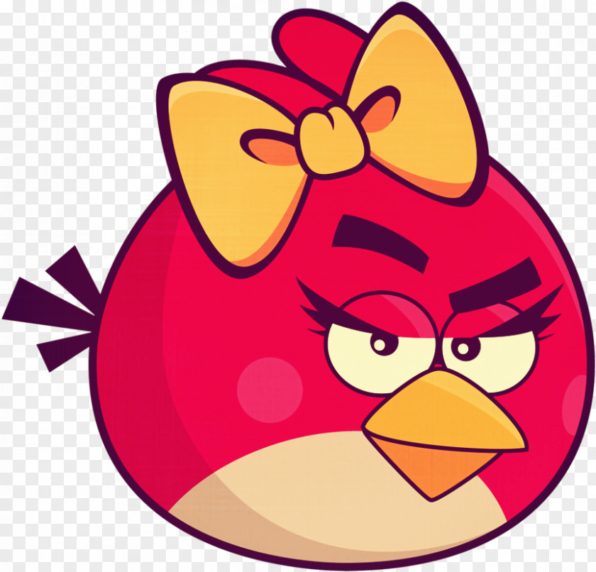 Video Game Software Angry Birds Seasons PNG