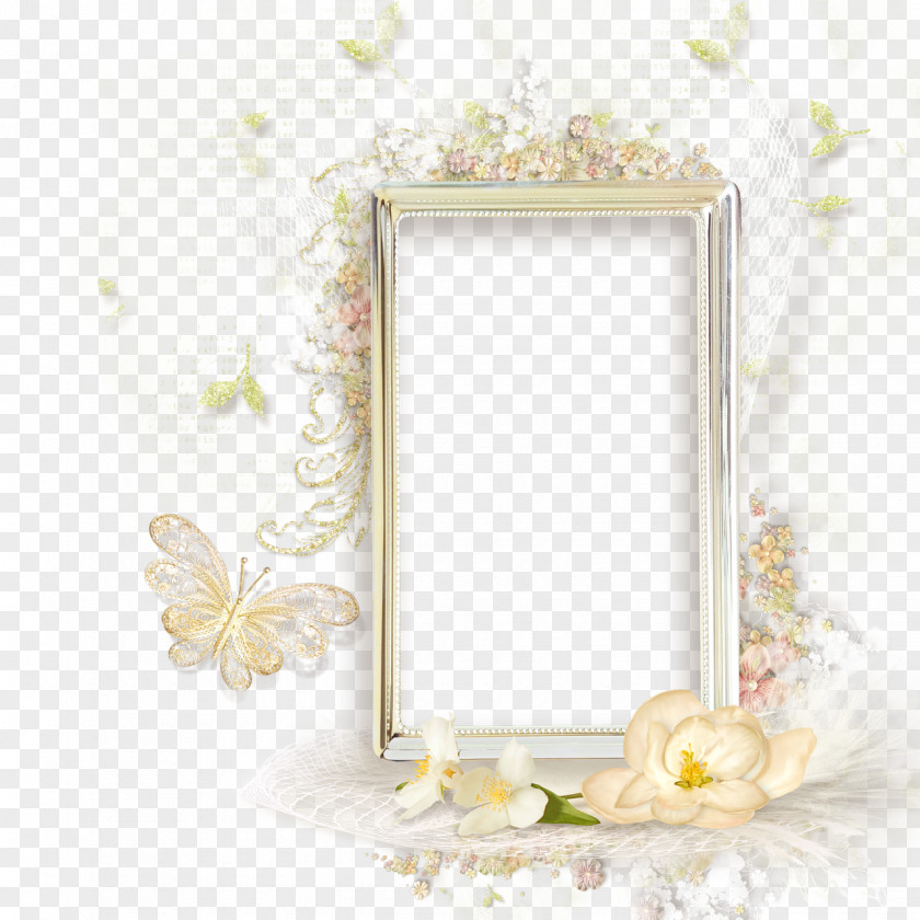 Aqua Frame Picture Frames Borders And Flower Light PNG
