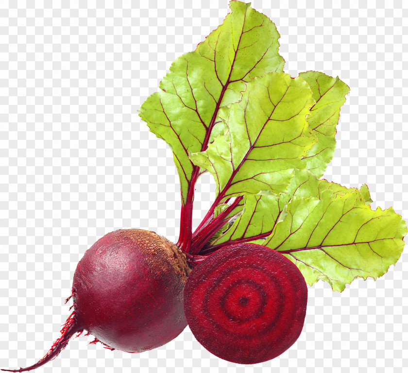 Beet Beetroot Icon Clip Art PNG