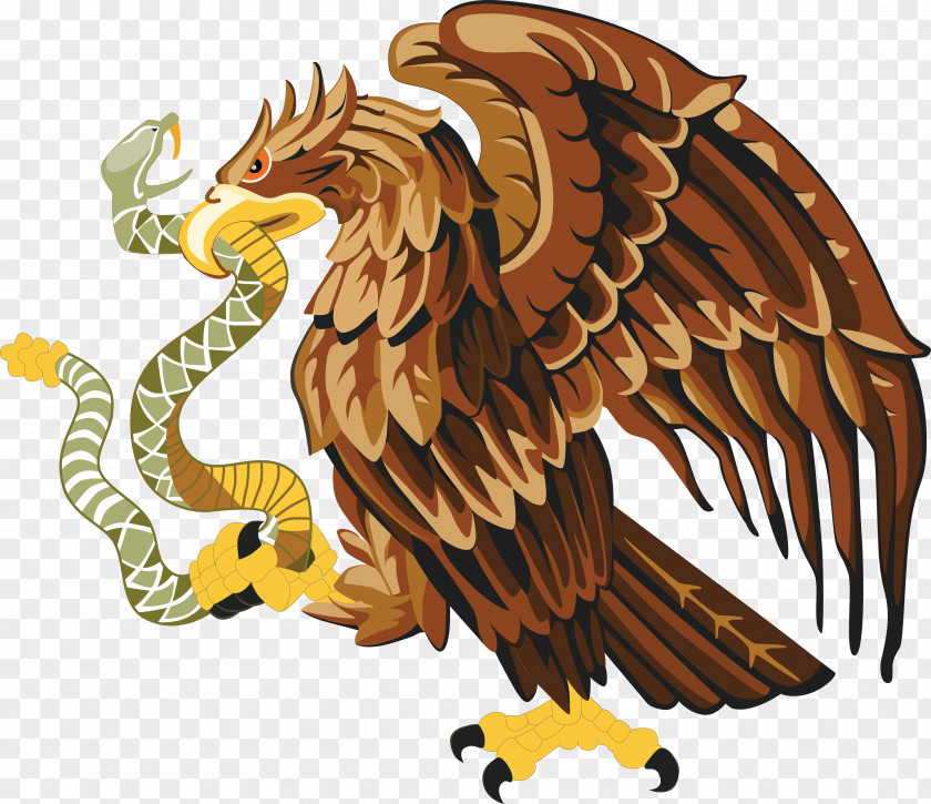 Eagle Mexico Snake Bald Clip Art PNG