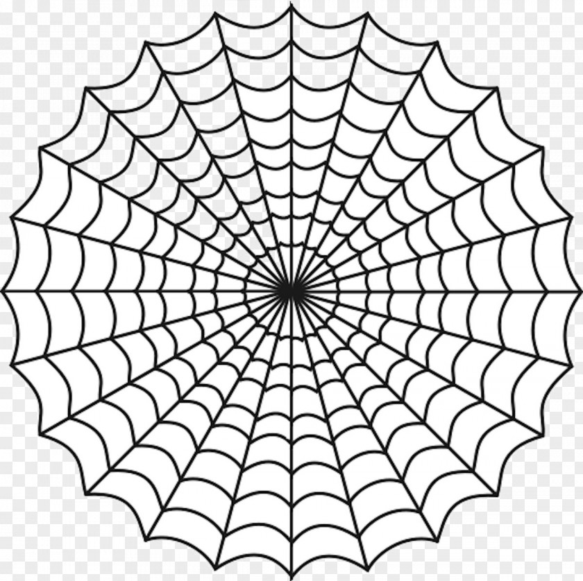 Şener Şen Spider Web Clip Art PNG