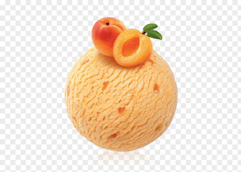 Ice Cream Mövenpick Sorbet Apricot Hotels & Resorts PNG