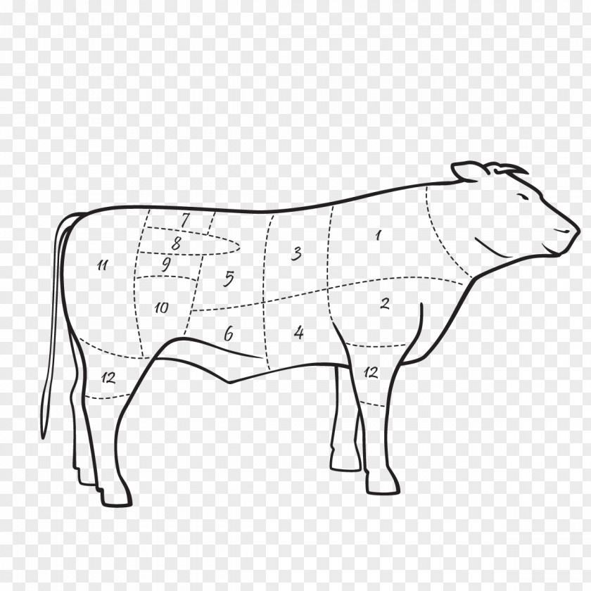 Meat Dairy Cattle Ox Limousin Calf Et Keyfi Kasap & Şarküteri PNG