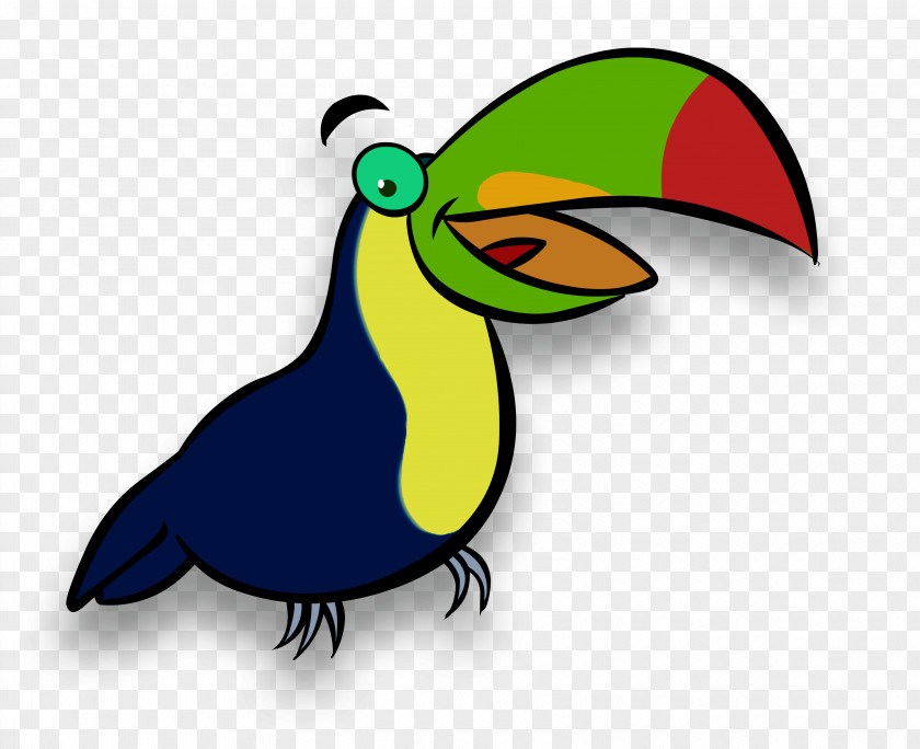 Toucan Photography Piciformes Game Clip Art PNG