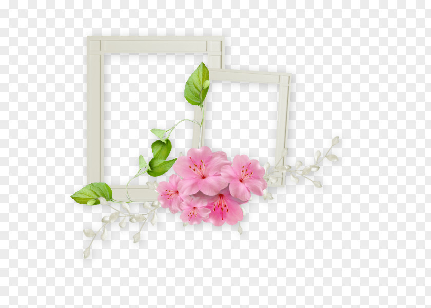 White Frame Film Picture PNG