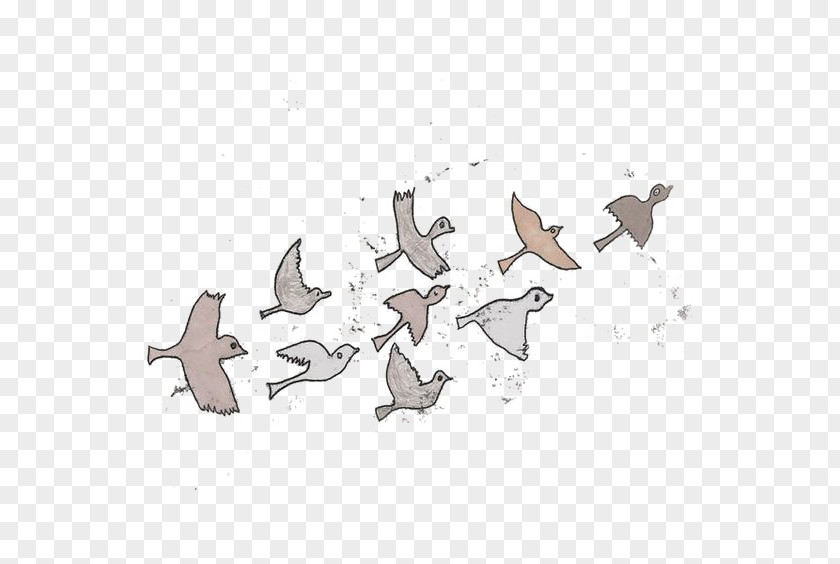 Birds Bird Migration Watercolor Painting Water PNG