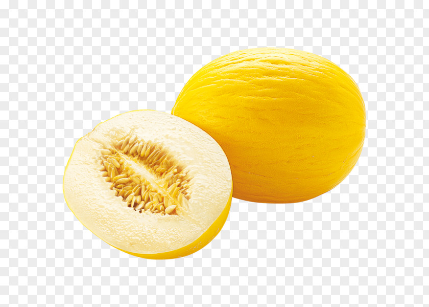 Melon Honeydew Galia Honigmelone Cucurbita PNG