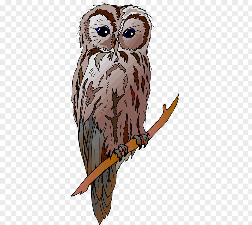 Barn Owl Great Horned Drawing Clip Art PNG