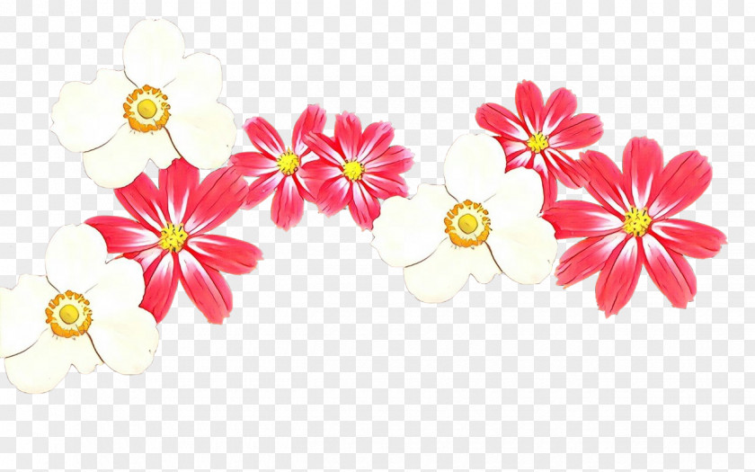 Floral Design Cut Flowers PNG