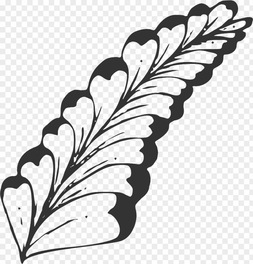 Foliage Line Drawing Drawing. PNG