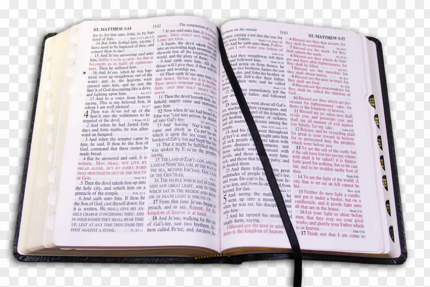 Holy Bible Study New Century Version Prayer PNG