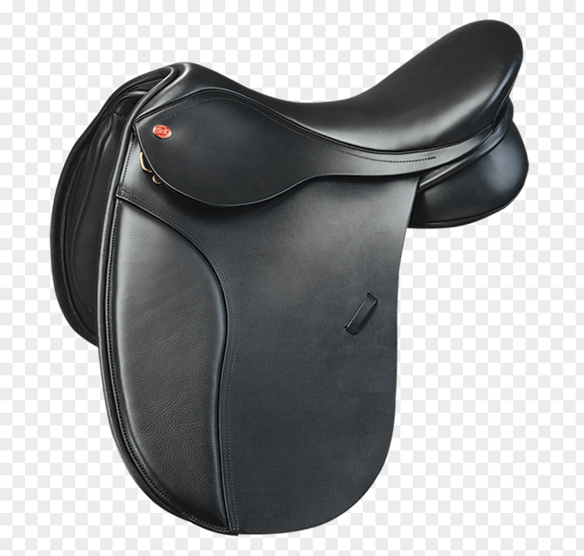 Horse Dressage Saddle Fitting Equestrian PNG