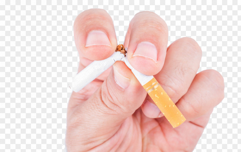 No Smoking Material Buckle HD Free Tobacco Cessation Drug Dependence Cancer PNG