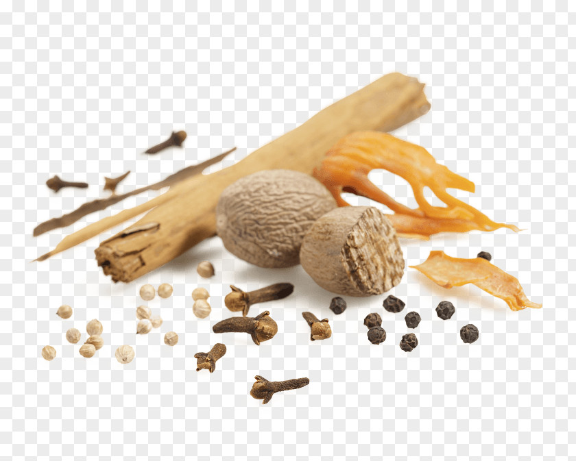 Nudos Spice Flavor HTTP Cookie Google Analytics Software Development Kit PNG