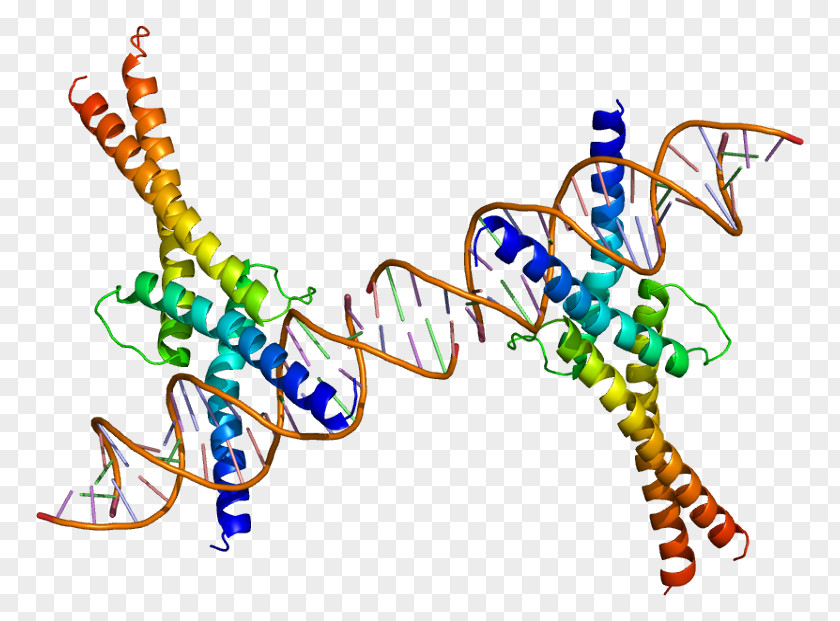 Organism Housekeeping Gene Sterol Regulatory Element-binding Protein 1 Cell Expression PNG