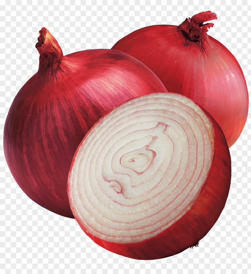 Product Red Onion Vegetable Shallot Bitter Melon Flavor PNG