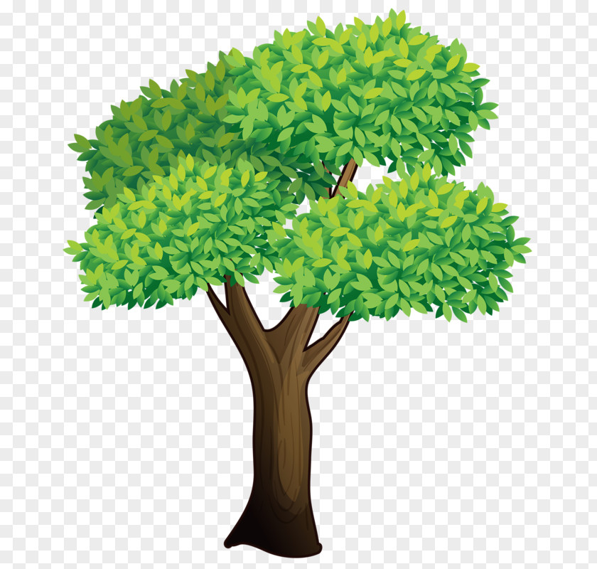 Tree Clip Art Vector Graphics Illustration Image PNG