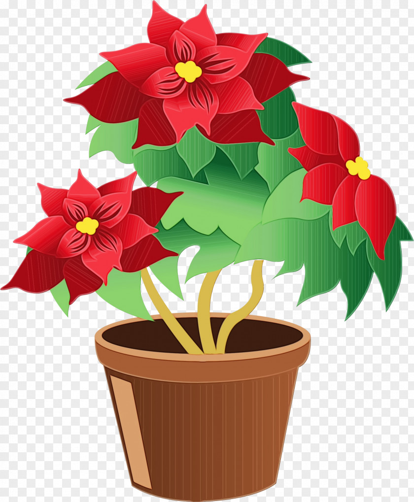 Anthurium Impatiens Flower Flowerpot Poinsettia Plant Clip Art PNG