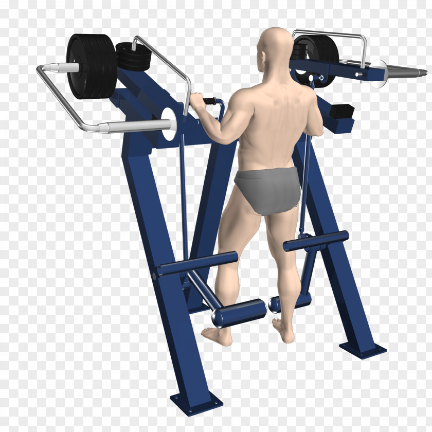 Barbell Exercise Machine Equipment Fitness Centre Physical PNG