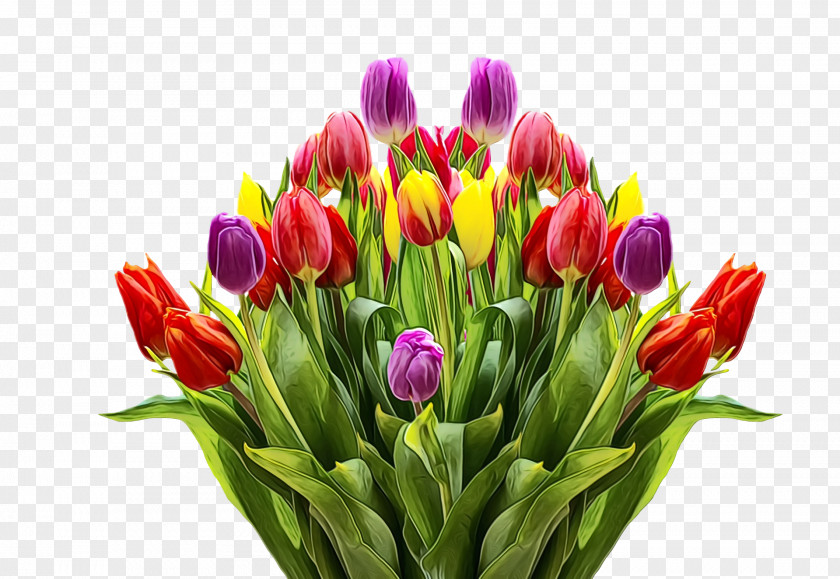 Floral Design PNG